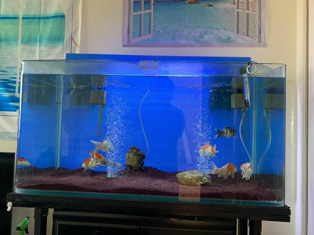 水槽コトブキ　90cm