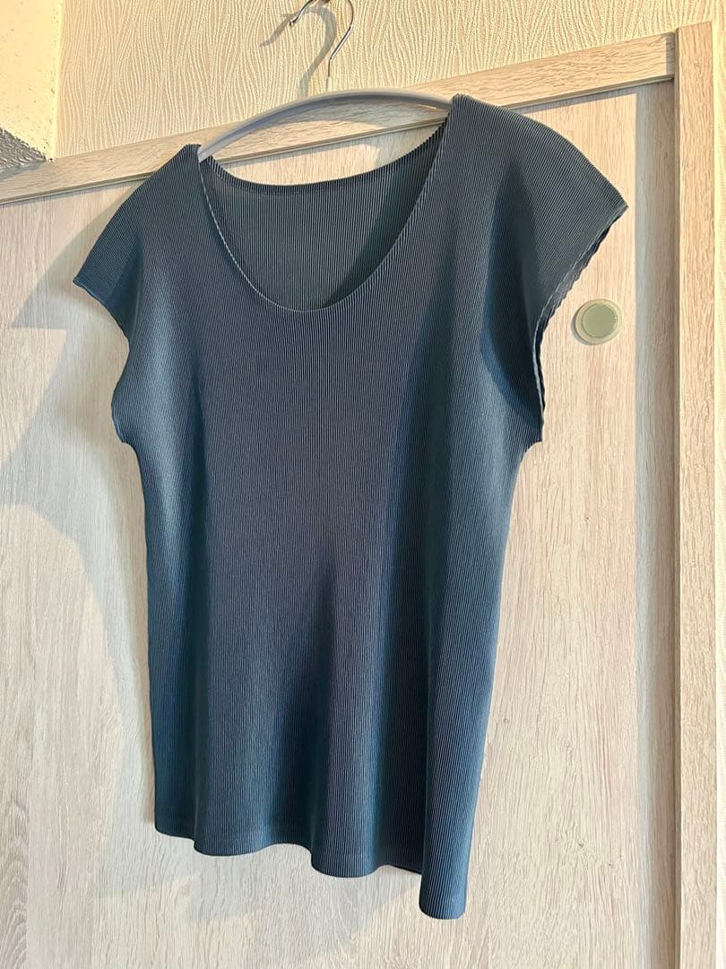 あや転勤族さま専用プリーツプリーズ pleatspleaseミスト