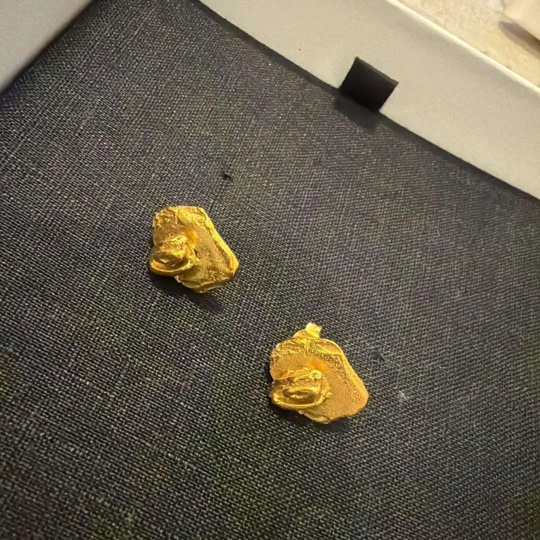 ALIGHIERI / THE FRACTURED DREAMピアス