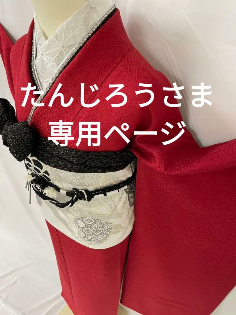 売約済み【Retoro -Modern】★★正絹　無地　振袖5点セット★★