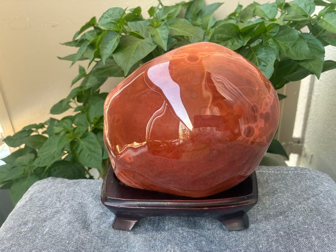 【激レア！梅干し風アゲート 】同心円状模様 木製台座付き磨き天然石