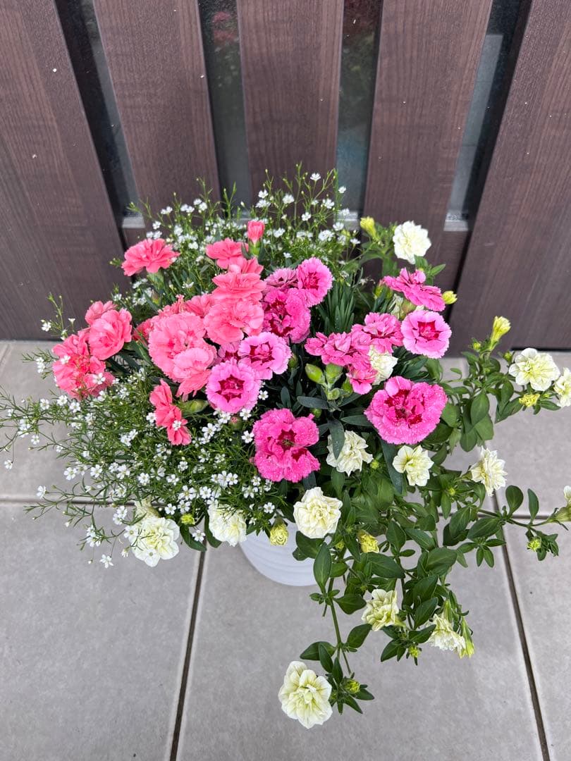母の日のプレゼントにも♪ 寄せ植え　花■カーネーションの花束のような寄せ植え