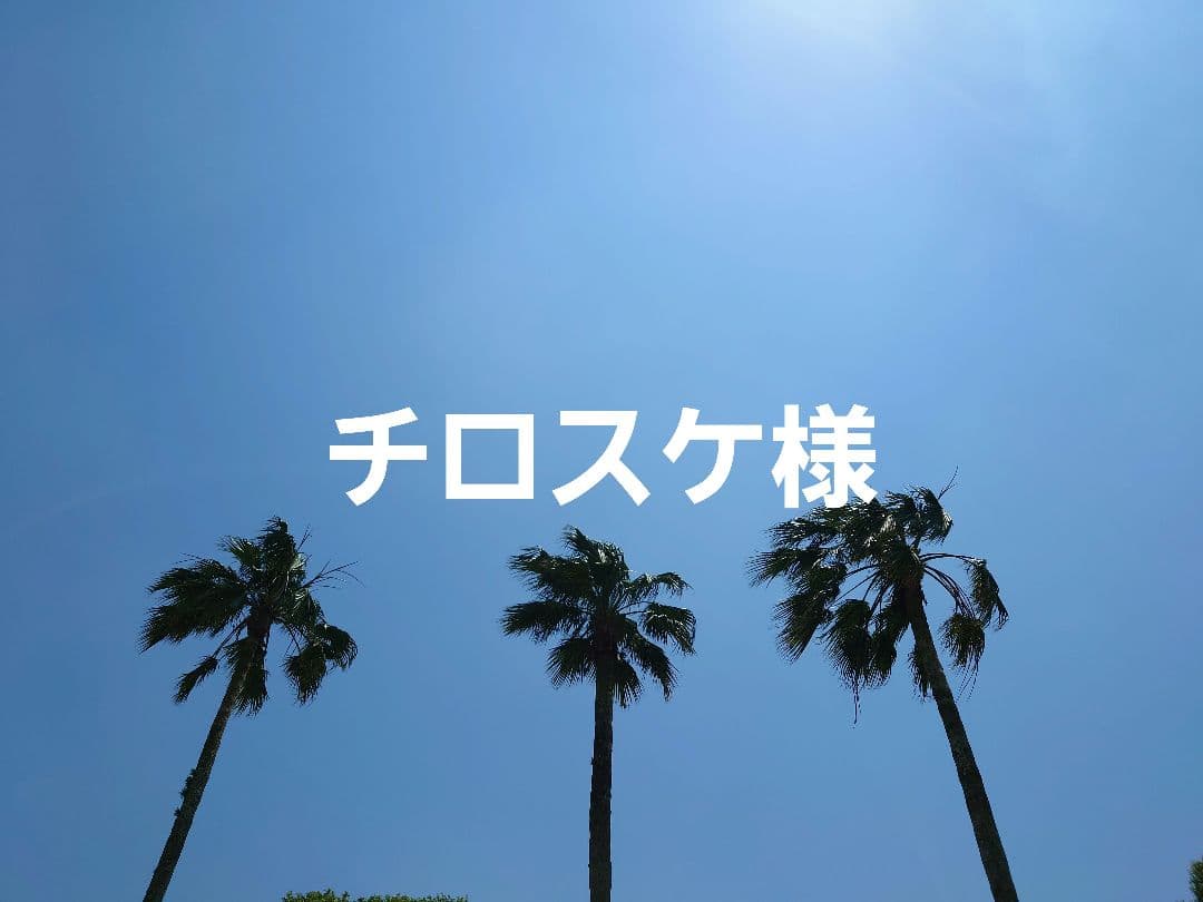 チロスケ(*´꒳`*)