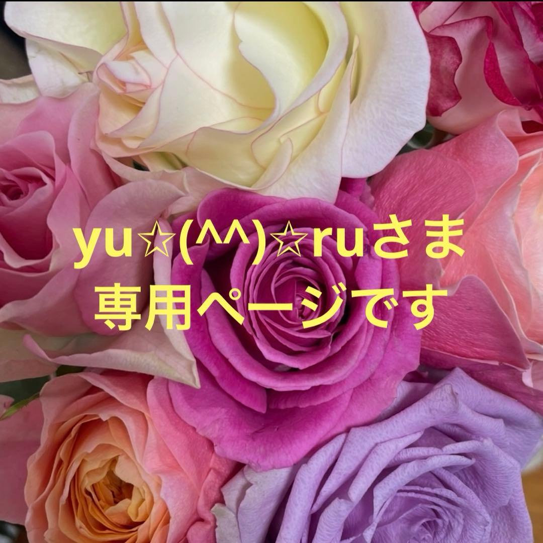 yu✩(^^)✩ruさま 専用ページです