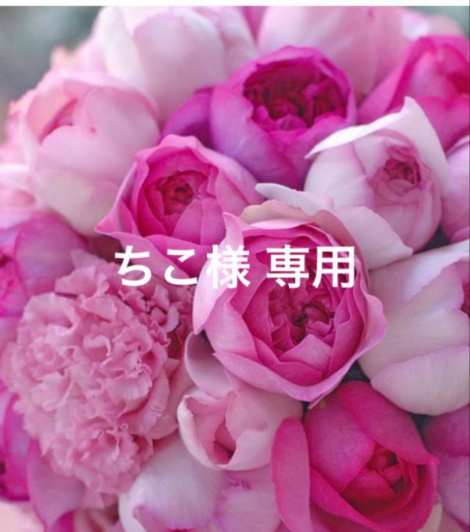 専用 サルート D75ジャズ