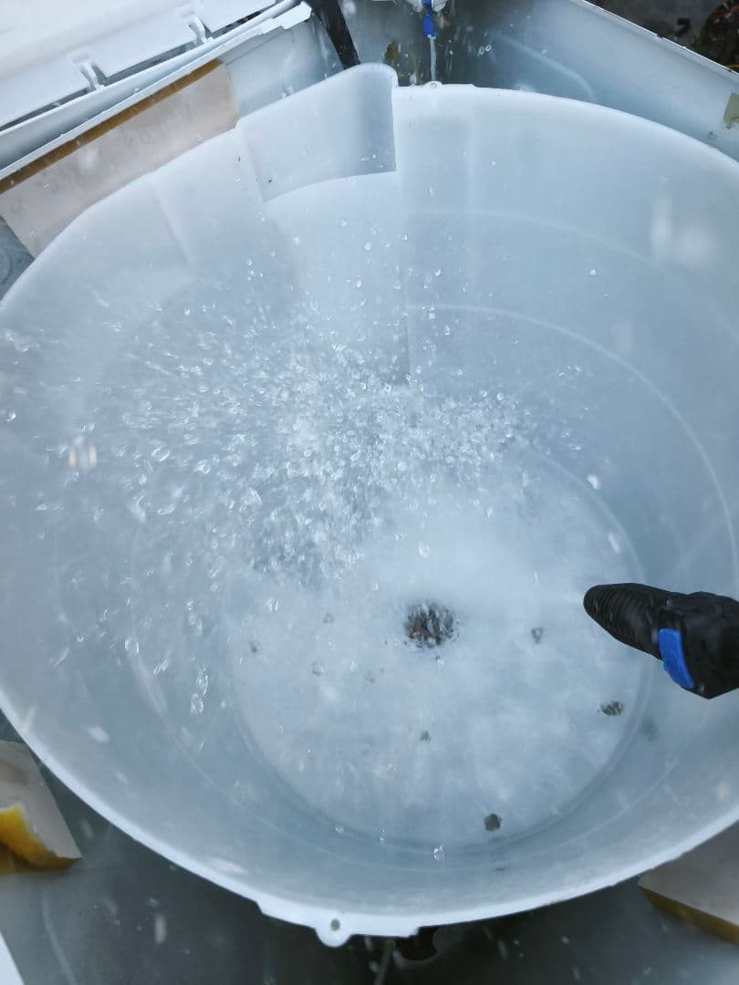 関東限定 2019年 条件にて無料配送 Hisense 5.5㌔ 洗濯機