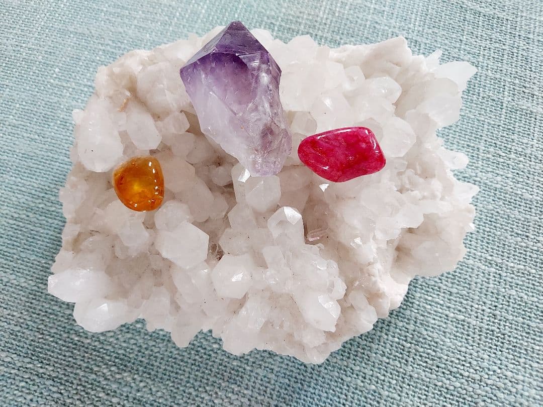 ヒマラヤクラスター　20cm