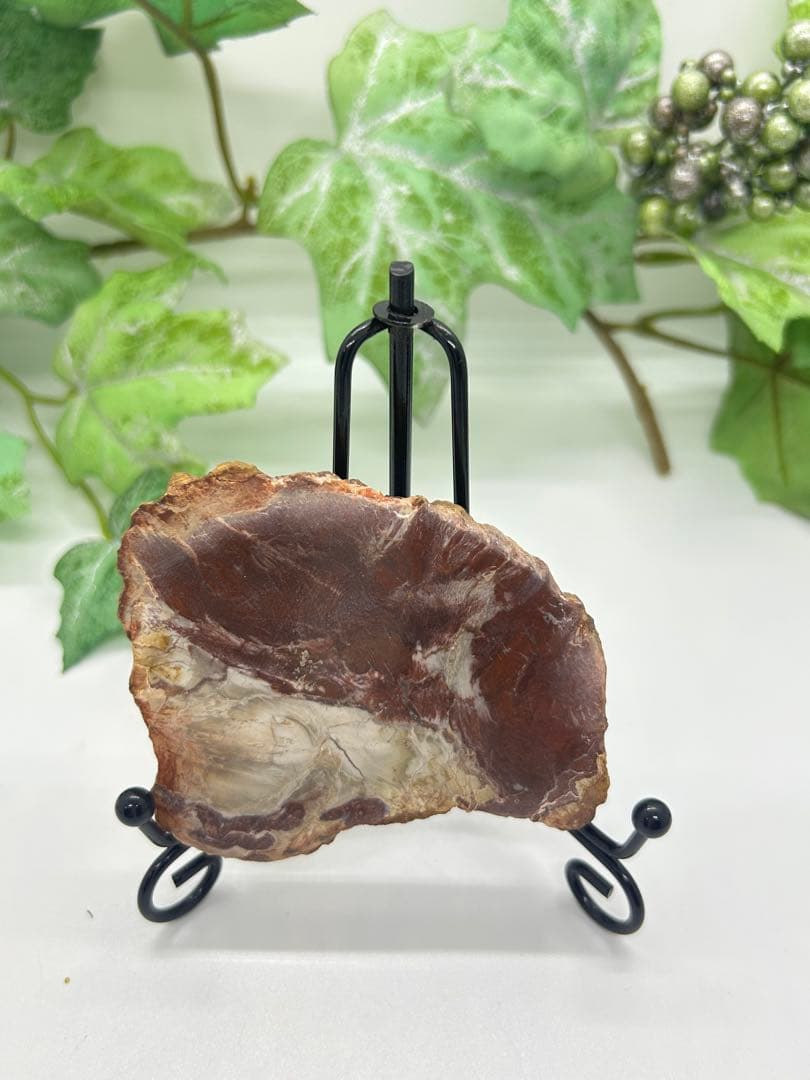 珪化木プレート　ペトリファイドウッド　No.871