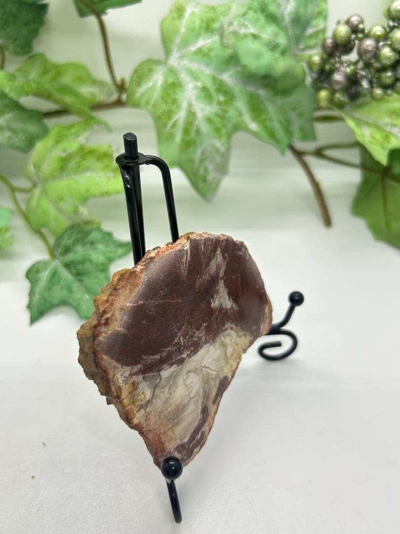 珪化木プレート　ペトリファイドウッド　No.871