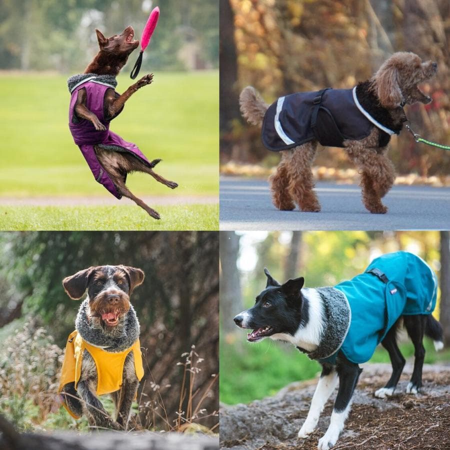 ドッグコート【Perus Pomppa】ペルス フィランド