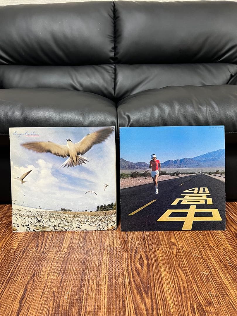 高中正義 SEYCHELLES An Insatiable High 2点