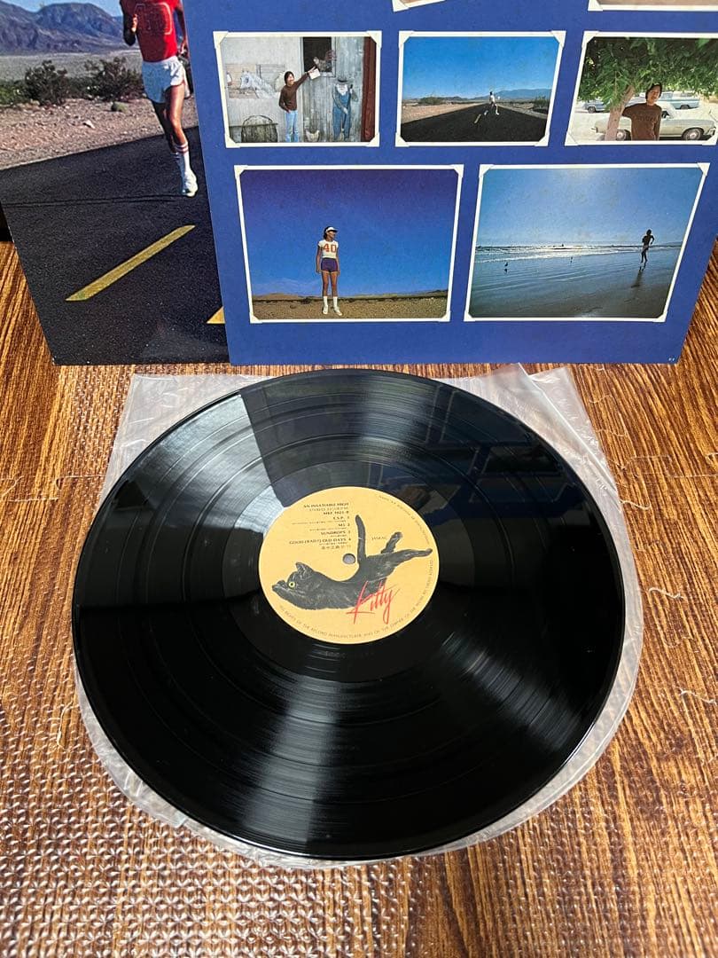 高中正義 SEYCHELLES An Insatiable High 2点