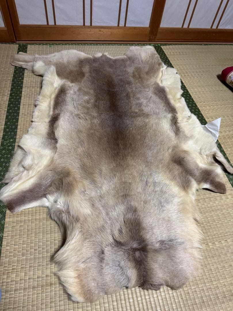 トナカイ 毛皮 キャンプ