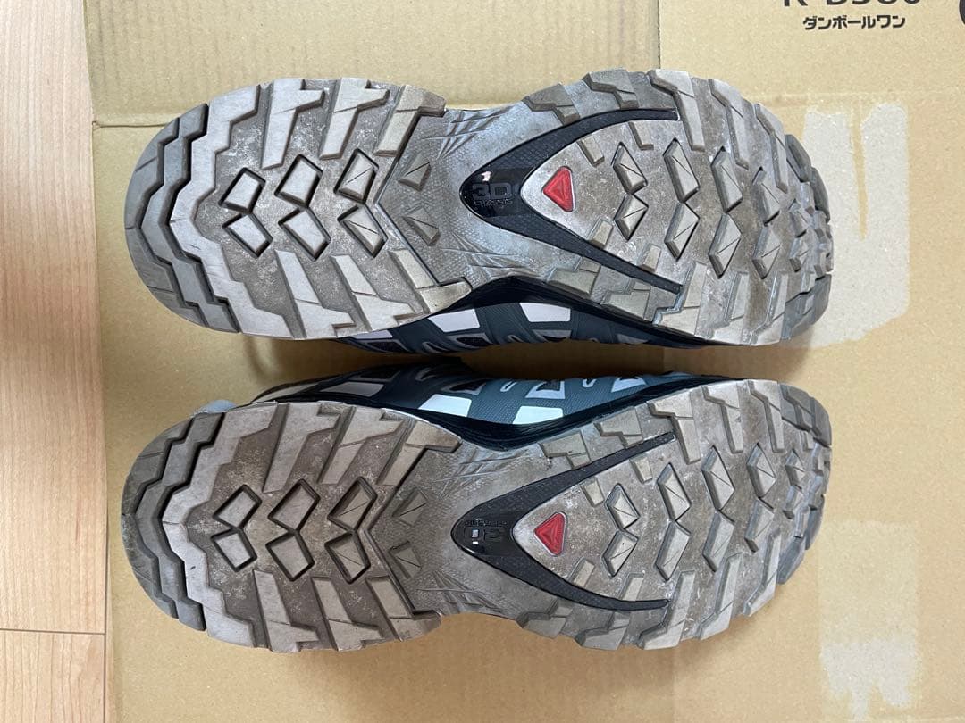 靴 SALOMON XA PRO 3D GTX V8