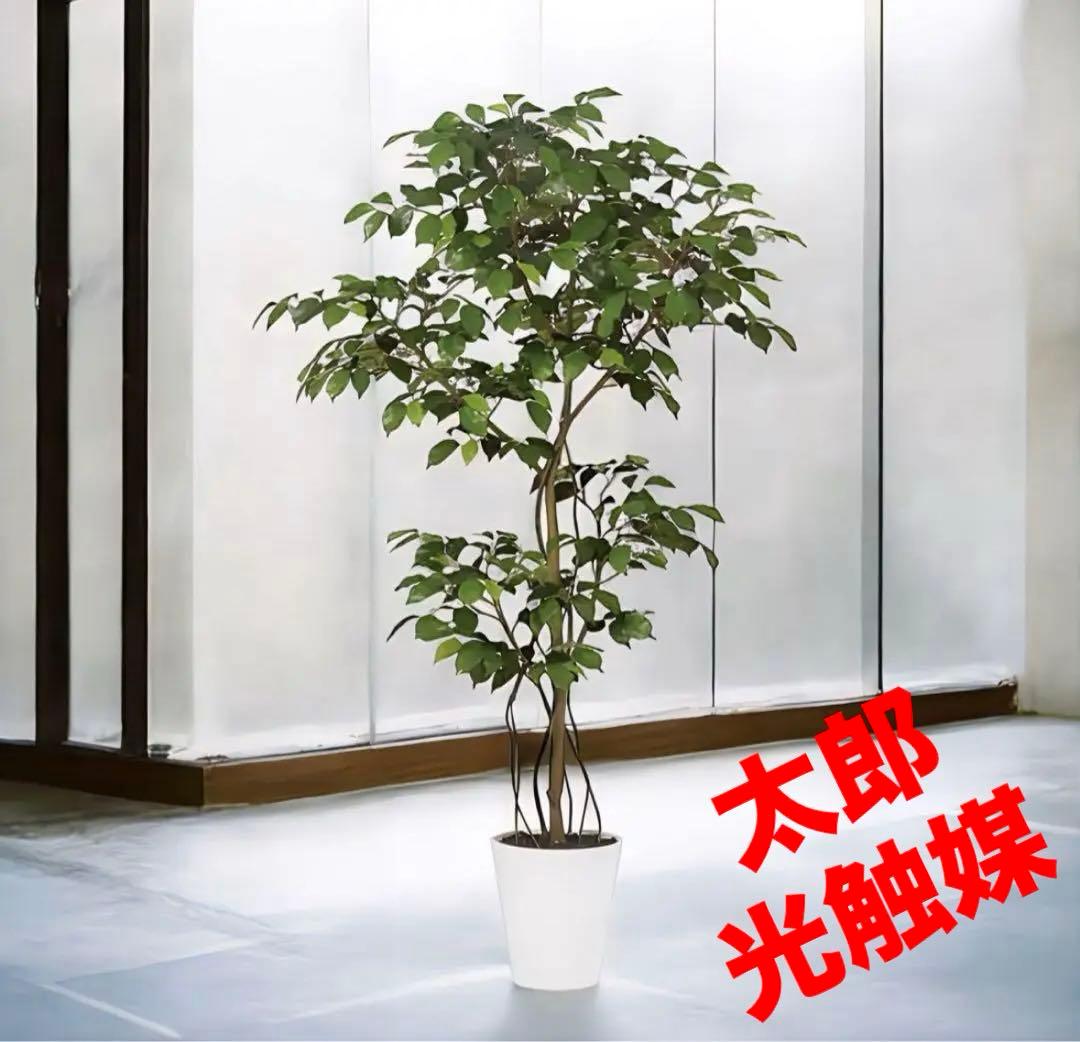 光触媒　人工観葉植物　フェイクグリーン　ベンジャミン FST150