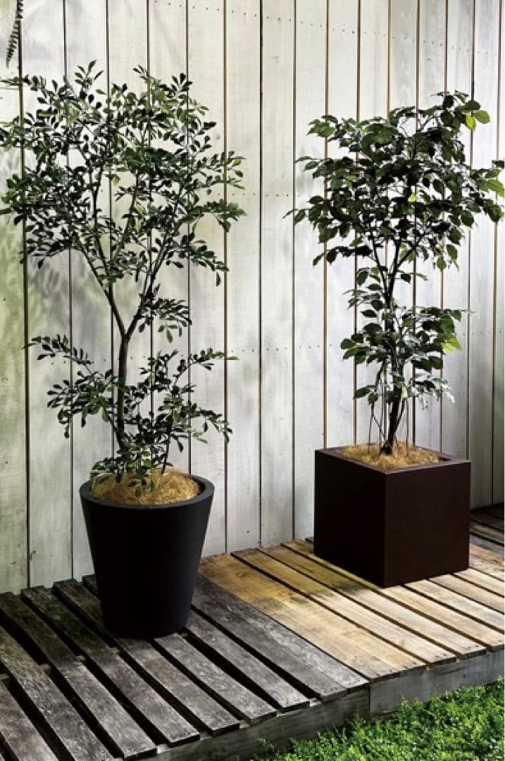 光触媒　人工観葉植物　フェイクグリーン　ベンジャミン FST150