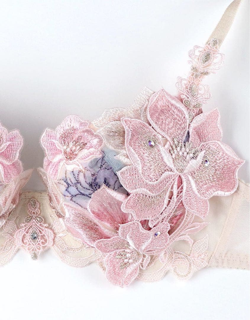 サルート　限定品　グループ29 d70