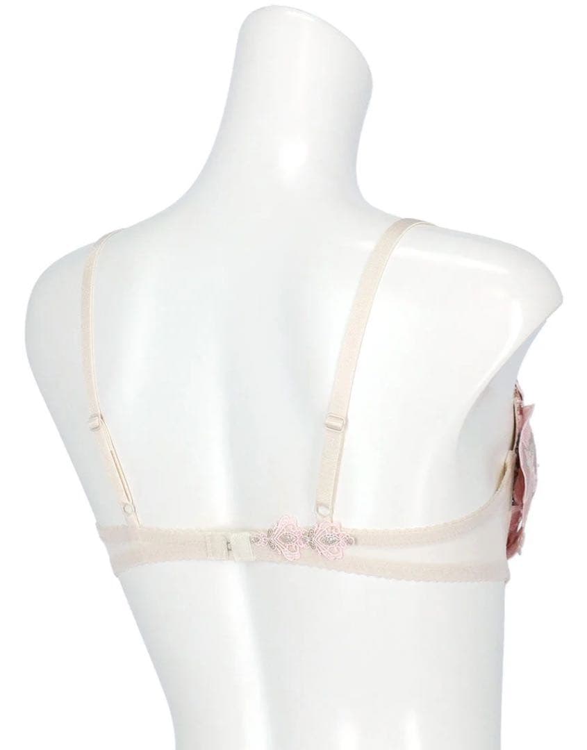 サルート　限定品　グループ29 d70