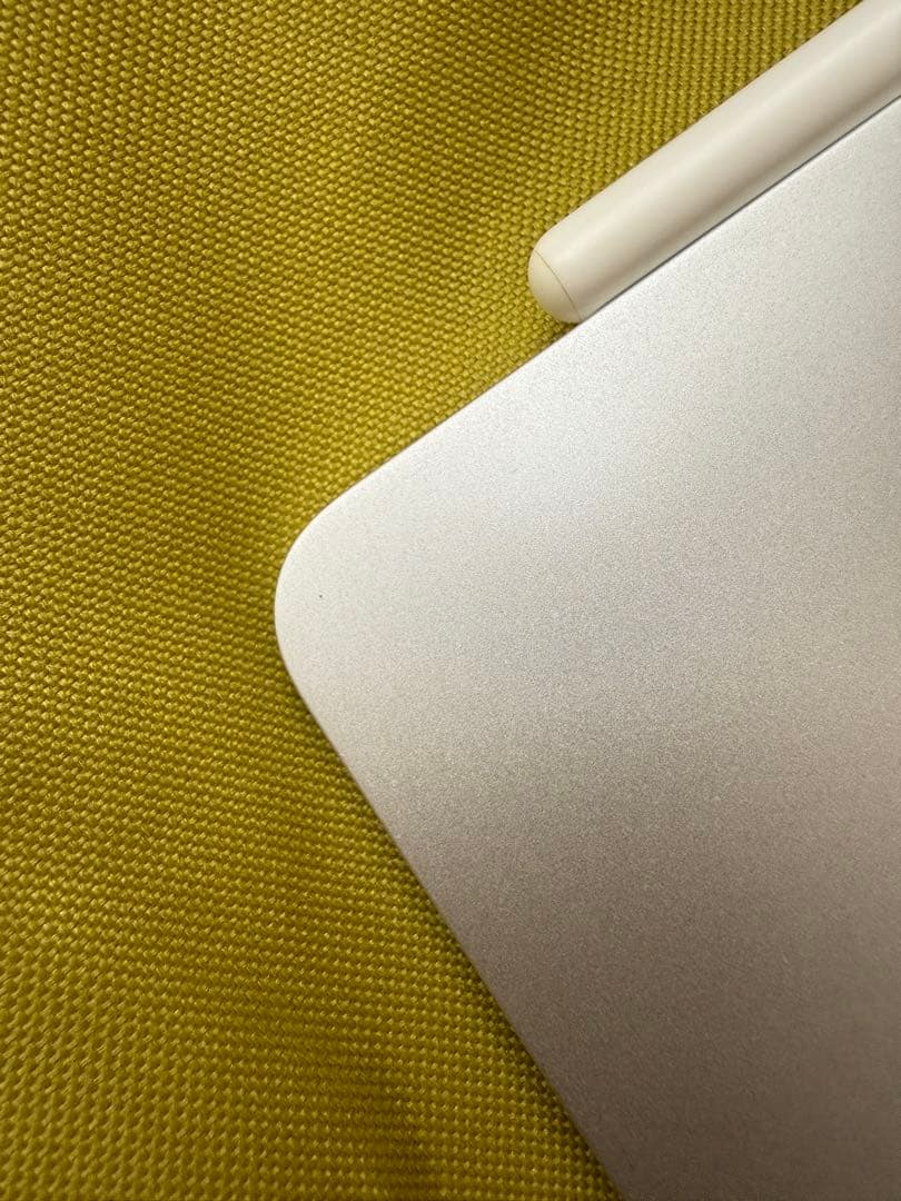 I PAD PRO 第2世代 11インチ + Apple Pencil 第2世代
