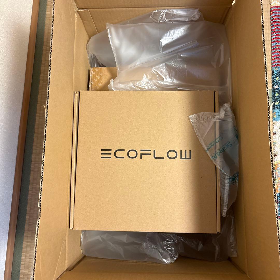 【新品】ECOFLOW 2pro