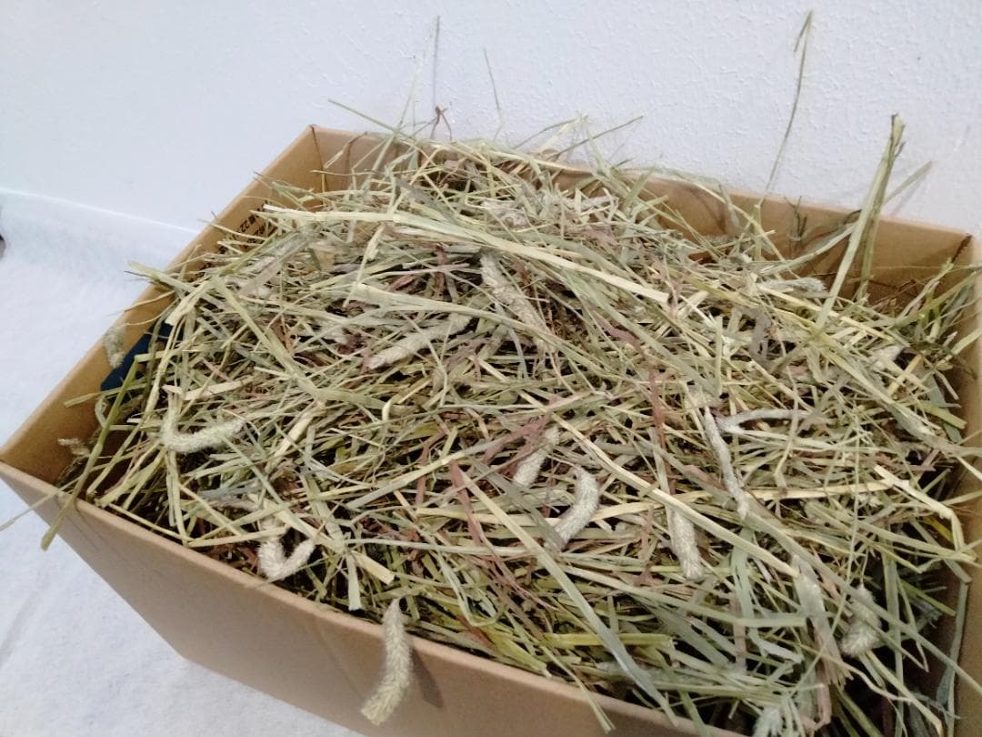 【家計応援価格】US産 チモシー 50kg ２番刈 ソフトSプレミアム