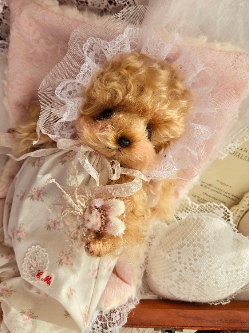 カーリーモヘアのトイプードルちゃん.*・゜特別なset₊˚⊹ ʚɞ テディベア