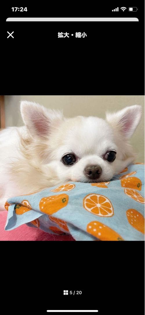 画像確認用　顔