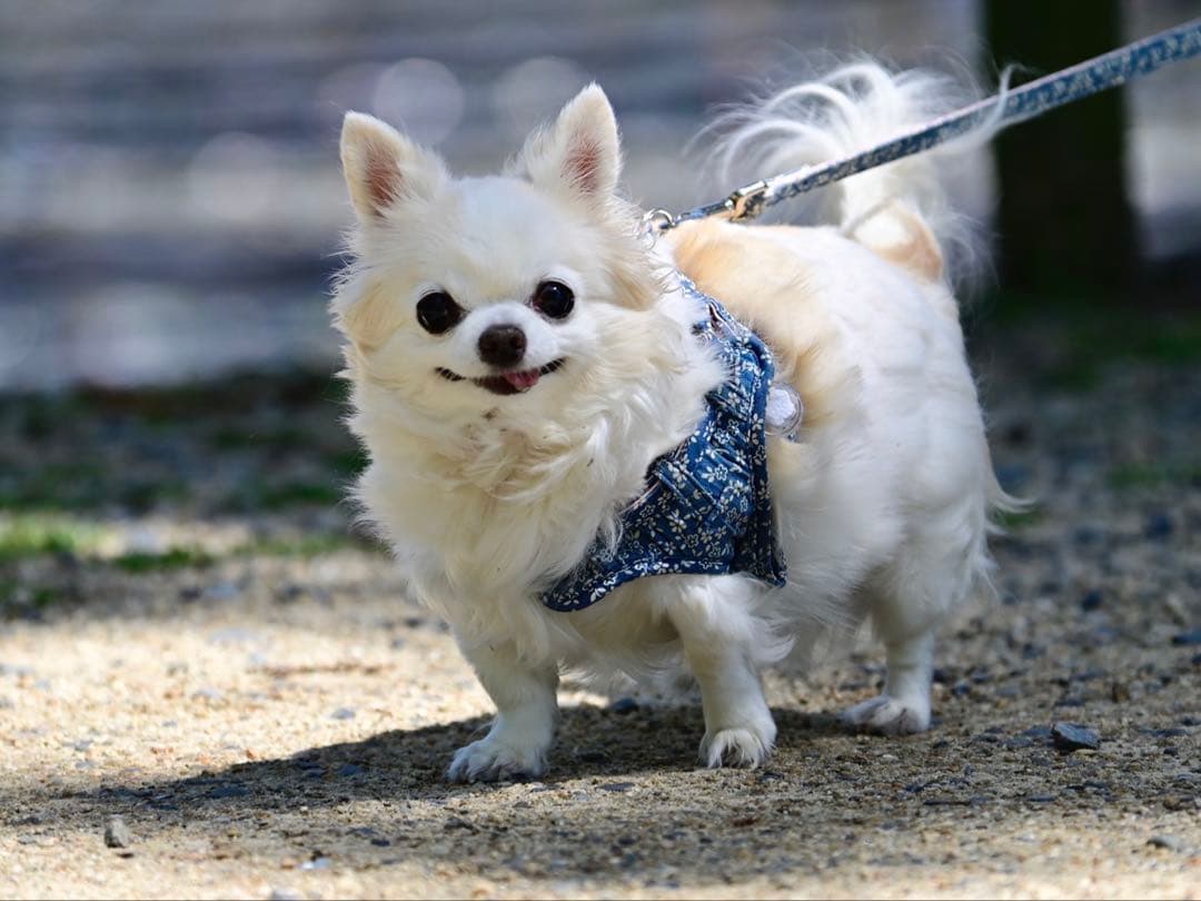 画像確認用　顔