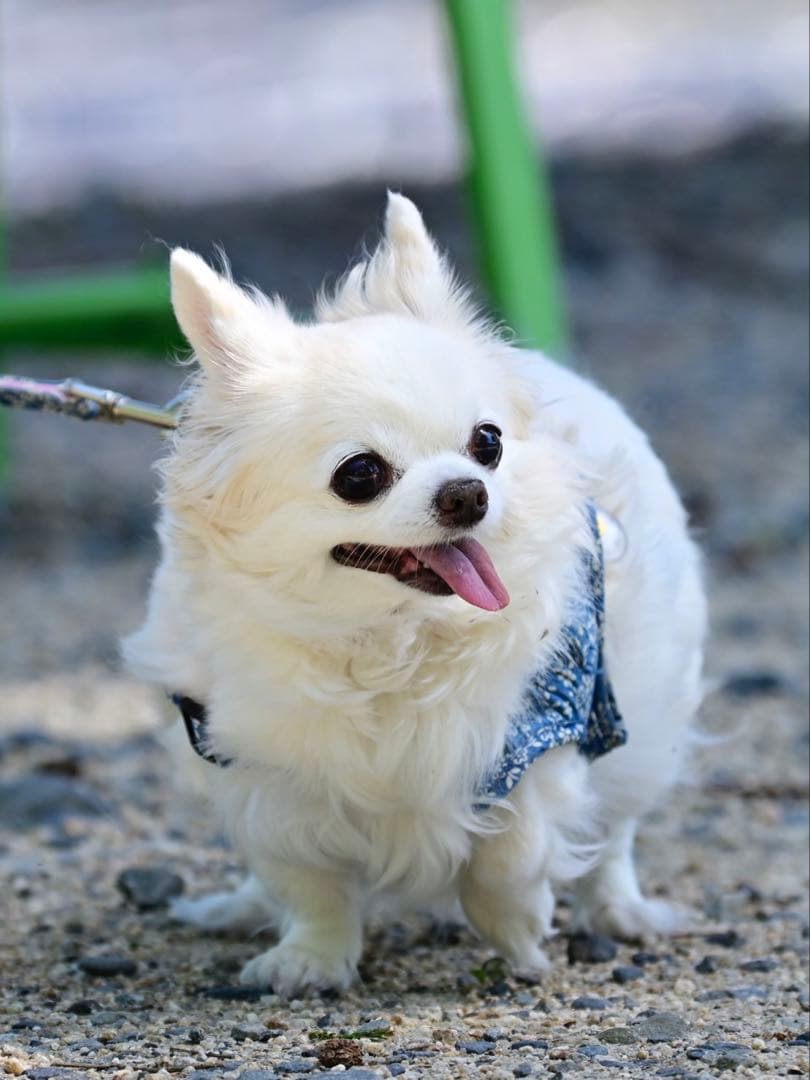 画像確認用　顔