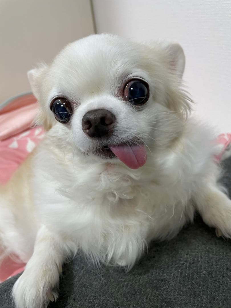 画像確認用　顔