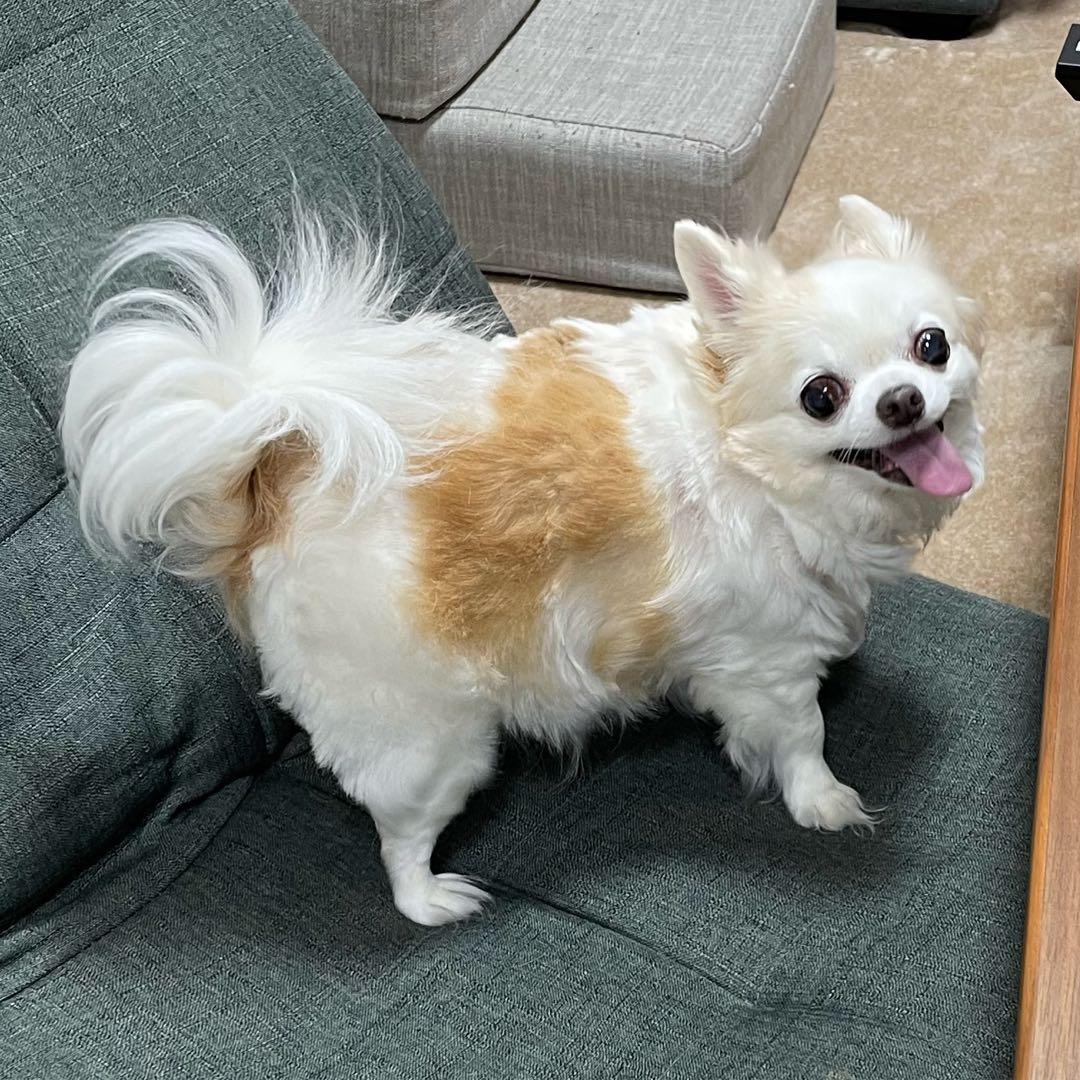 画像確認用　顔