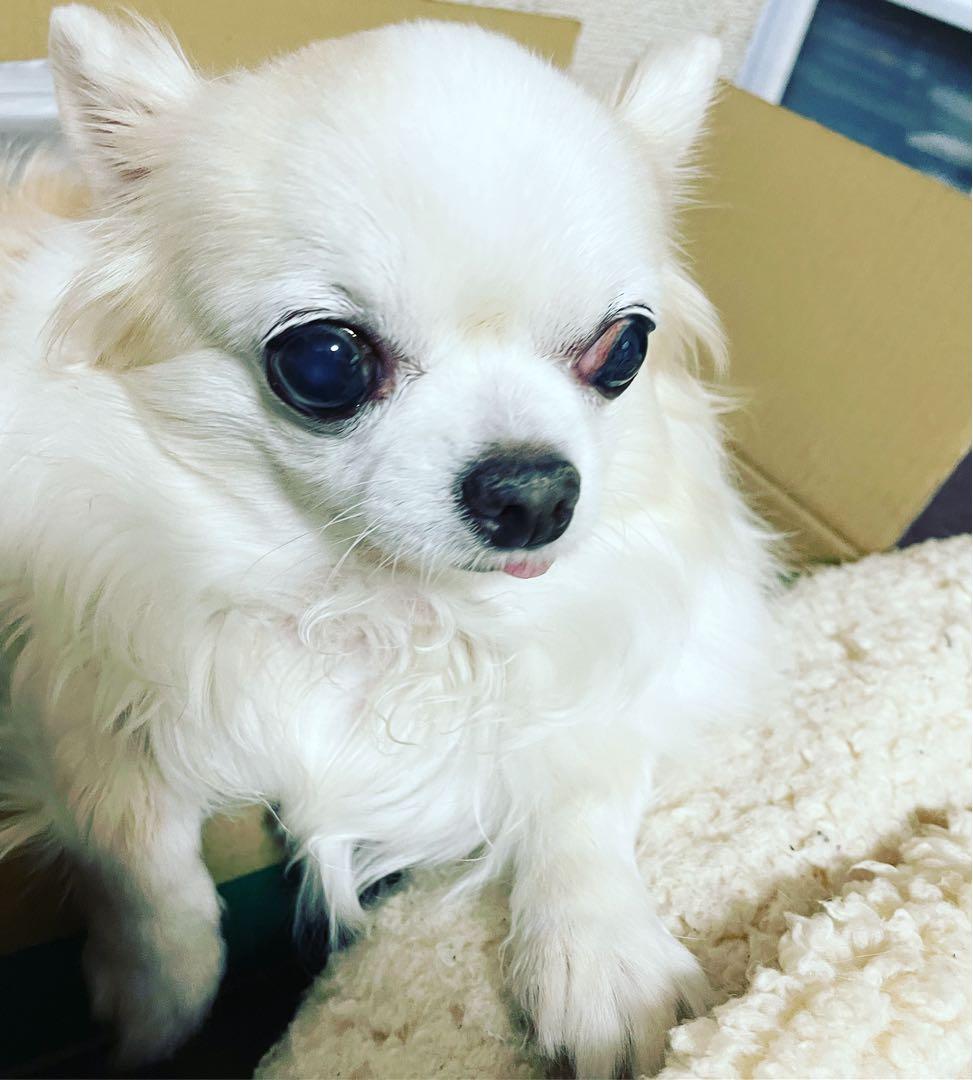 画像確認用　顔