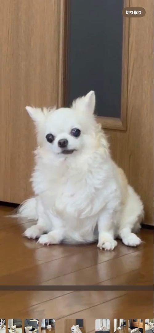 画像確認用　顔