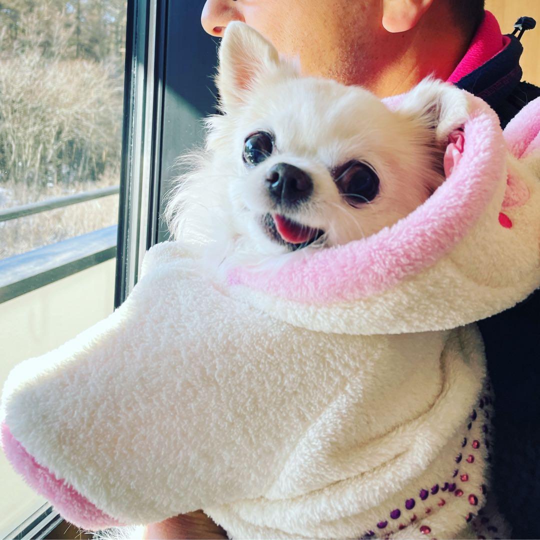 画像確認用　顔