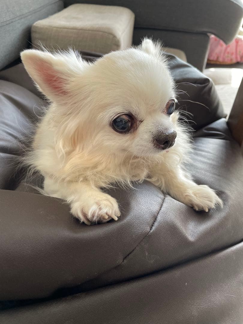 画像確認用　顔