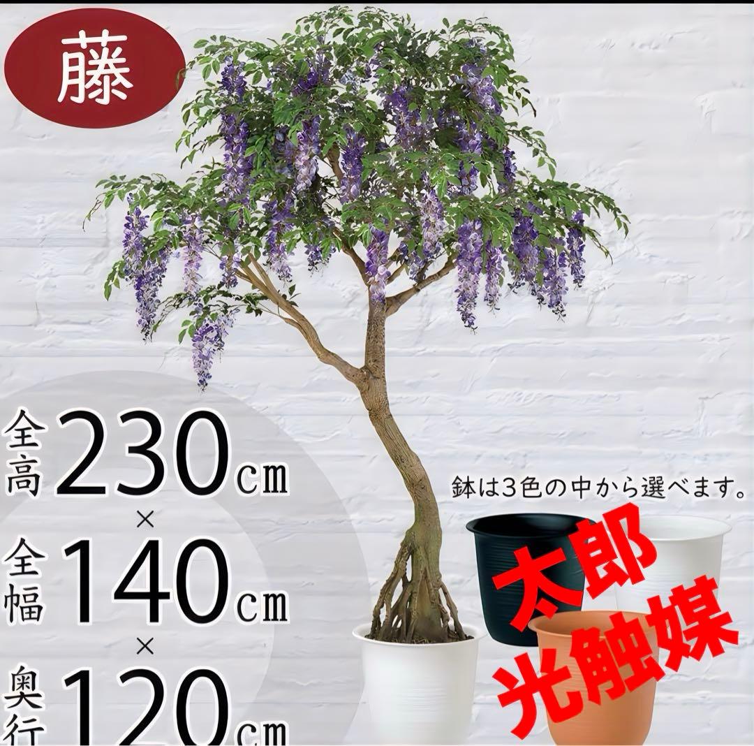 光触媒　人工観葉植物　ウォールグリーン　フェイクグリーン　藤コアッド鉢付き