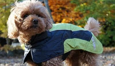 アルティメットウォーマー60 CM