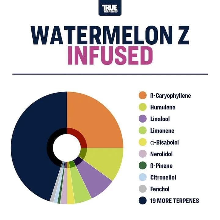 TRUE テルペン CBD CBN 10ml ウォーターメロンズキットルズ
