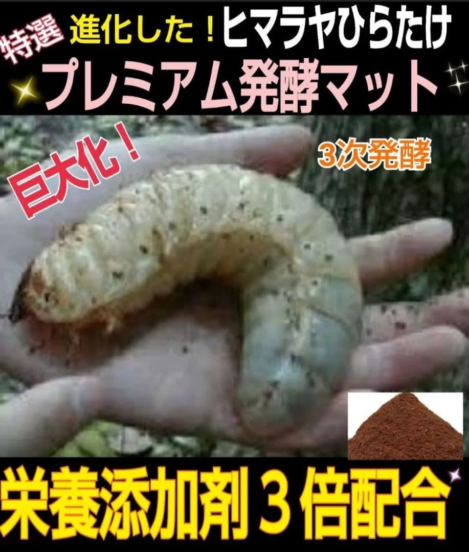 極上！プレミアム3次発酵カブトムシマット【たっぷり60L】幼虫の餌・産卵にも抜群