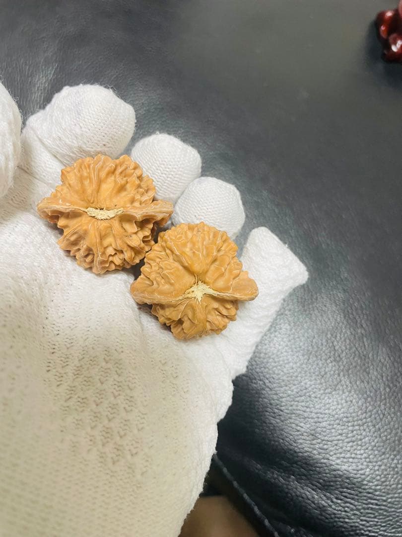 厚揚げN o .386 と258遊ぶかクルミ　文玩核桃 精配❤️形盘龙纹核桃