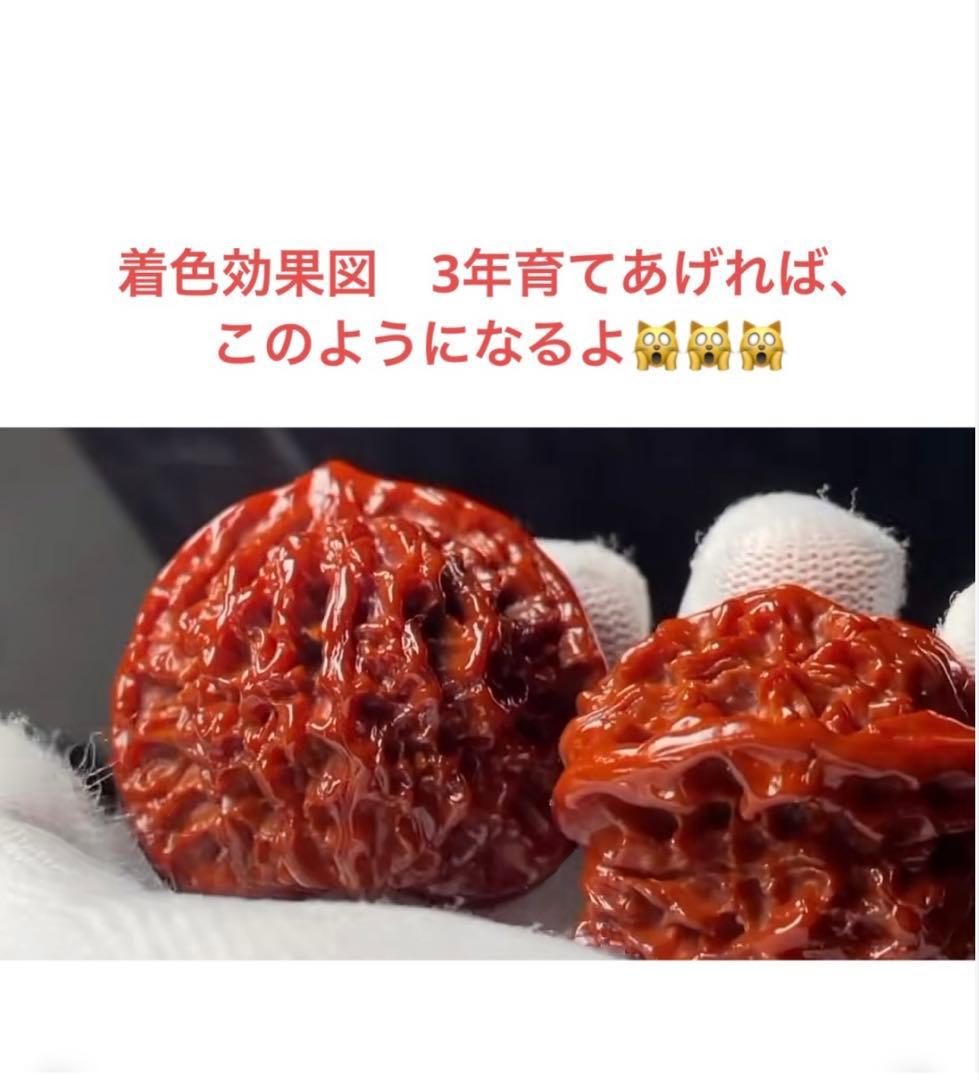 厚揚げN o .386 と258遊ぶかクルミ　文玩核桃 精配❤️形盘龙纹核桃