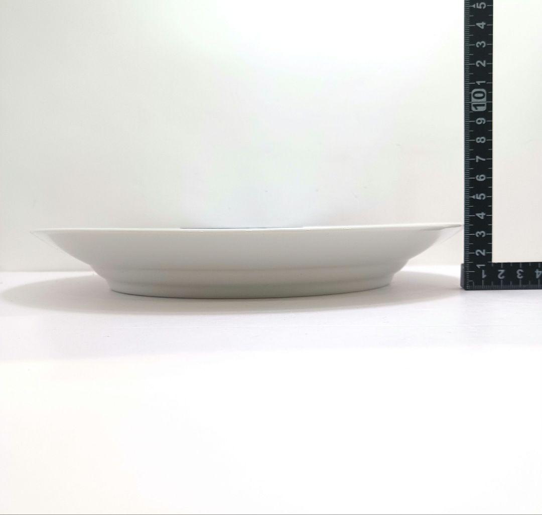 専用Y3269-3.4 ロイコペ 2枚 ブルーフルーテッド プレート　T