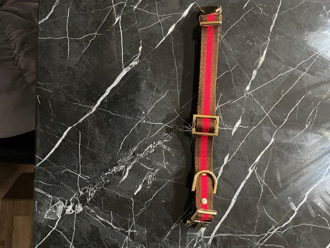 犬首輪リードセット　COLINATE 新品　アプリコット色　正規品