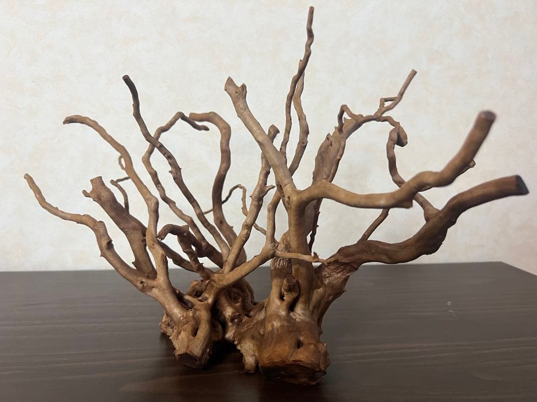 32625 ブランチウッド　流木　アクアリウム 沈水確認済