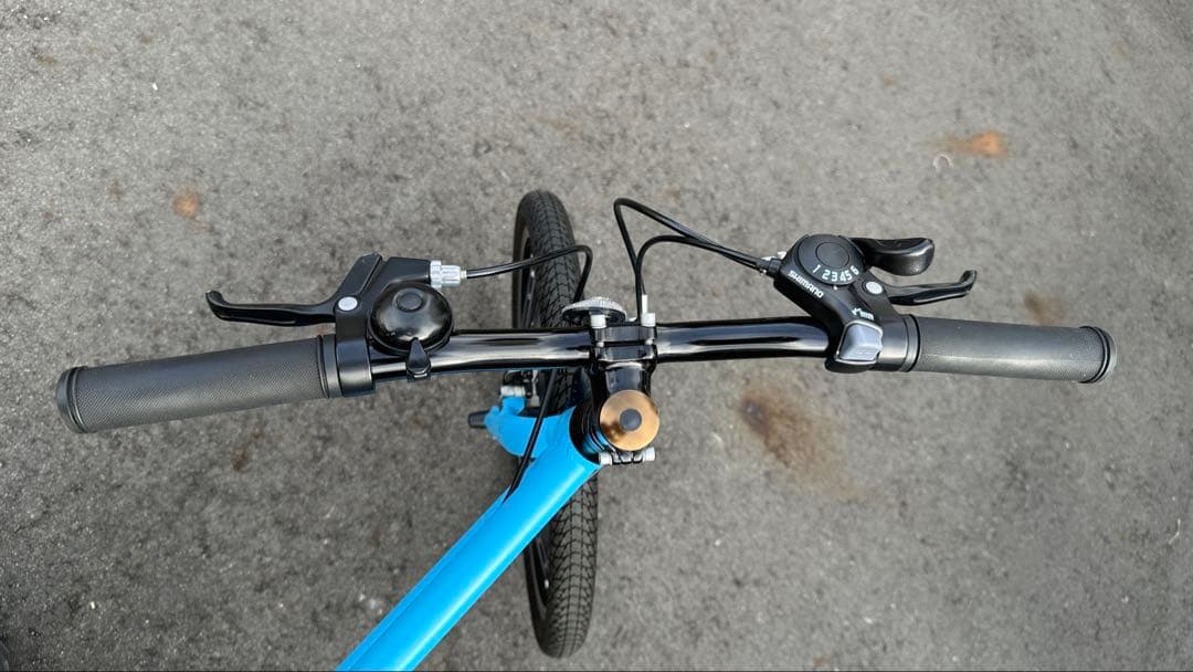 ライトウェイ ZIT 20インチ 子供用 自転車