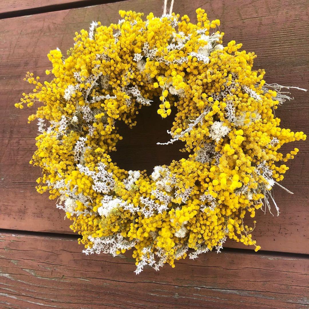 ミモザリース　ミモザ