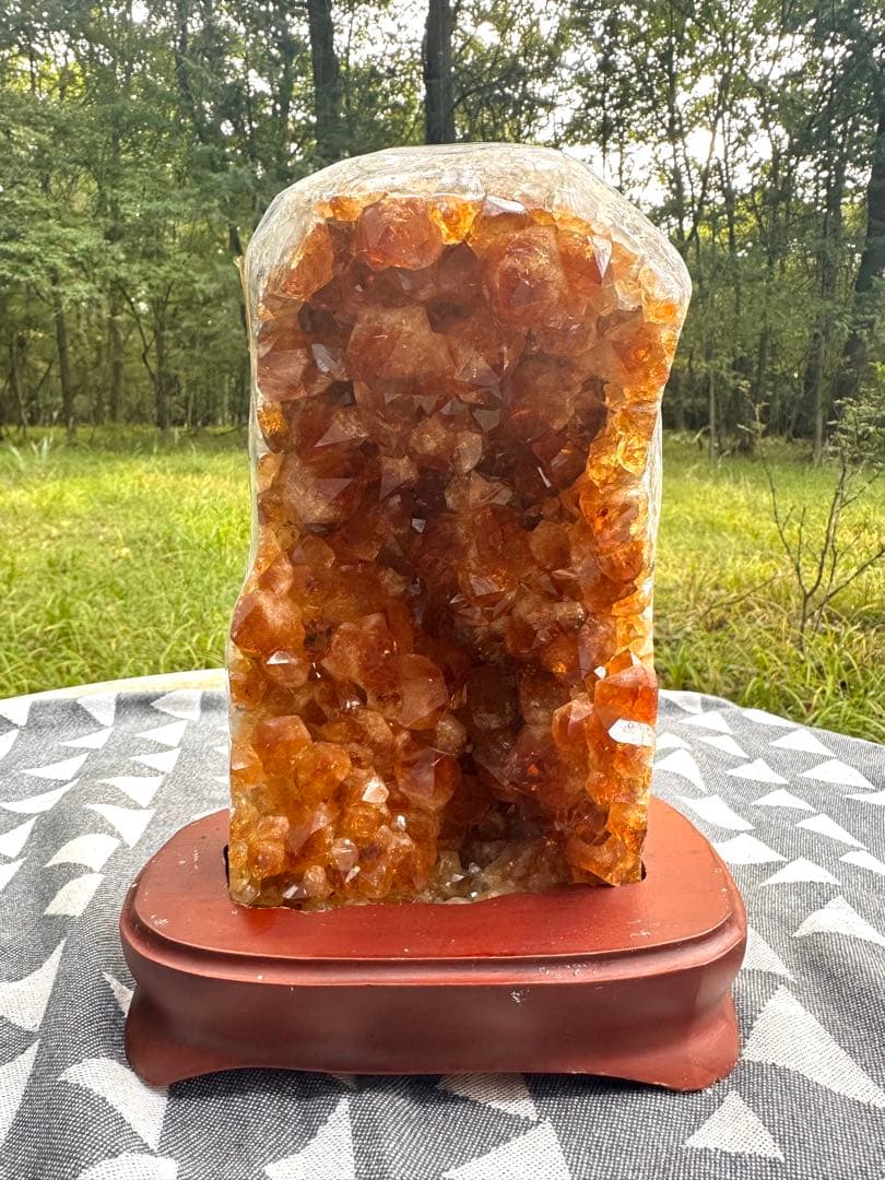 特価　シトリンクラスター　45