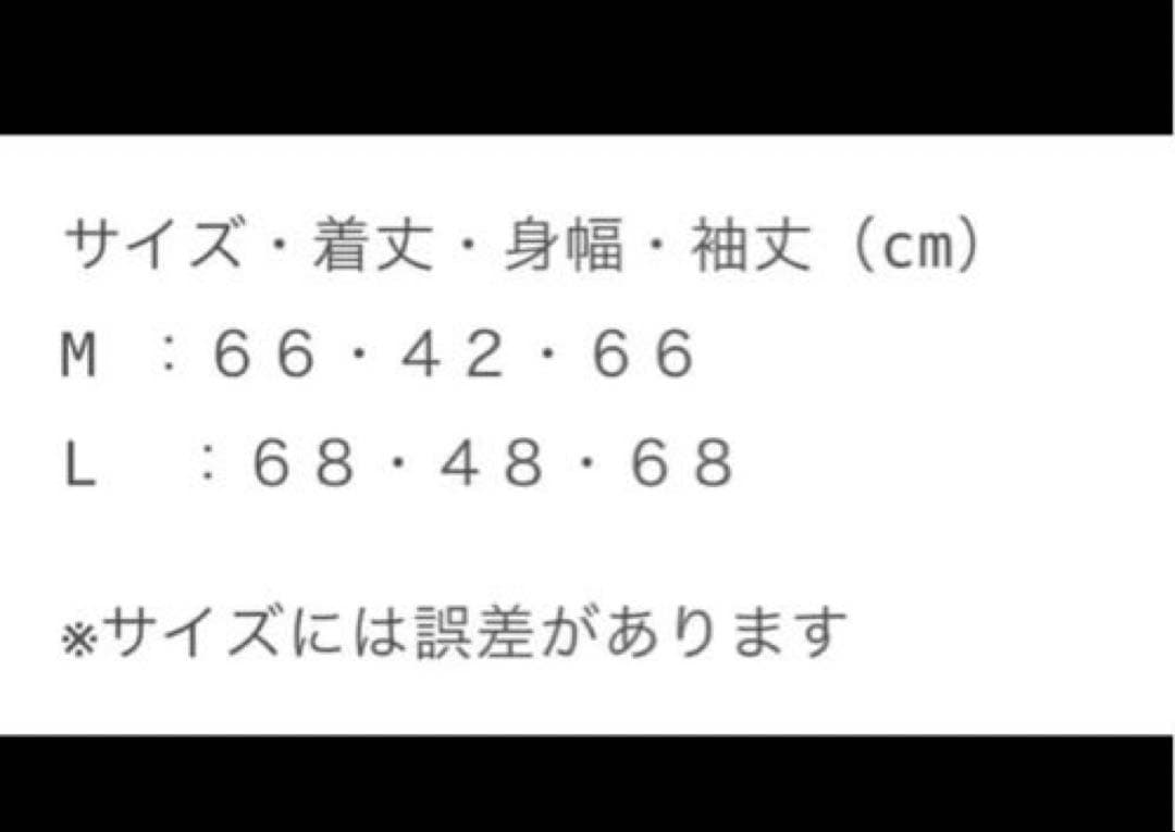早い者勝ち‼️vallad サーマル　武道館　io着用