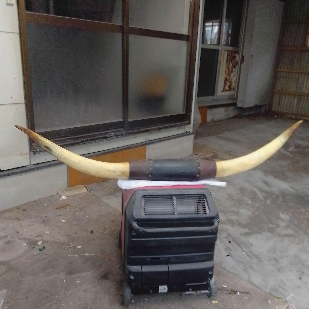 バアファロウの、角、四十 年前の物