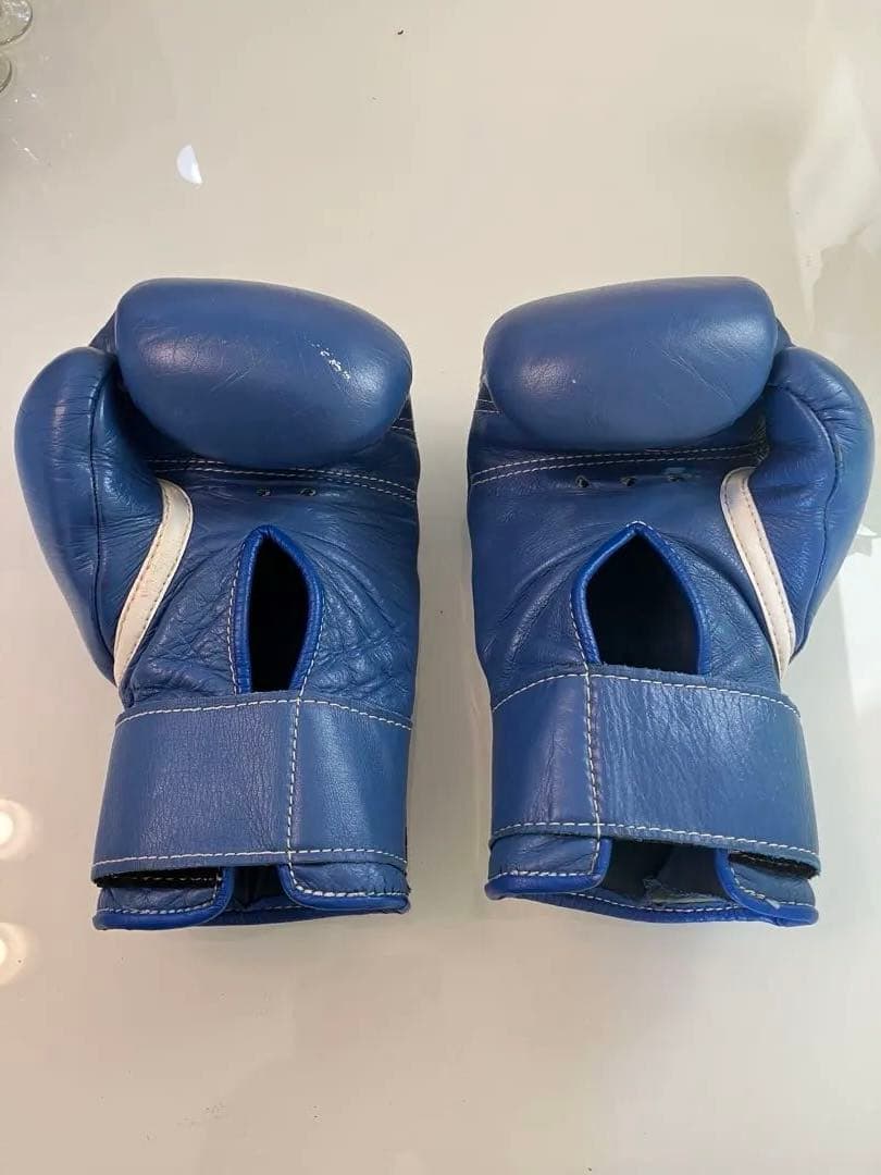 Winning ボクシンググローブ 10oz 青